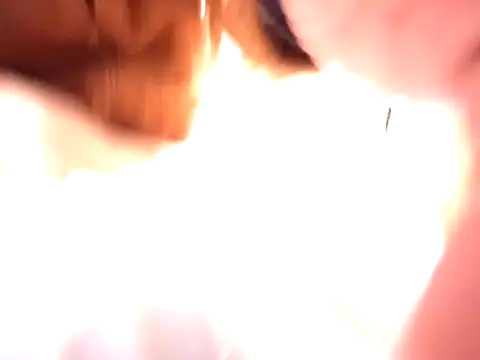 pnp0Japan online show from December 2024 03:09:02 PM