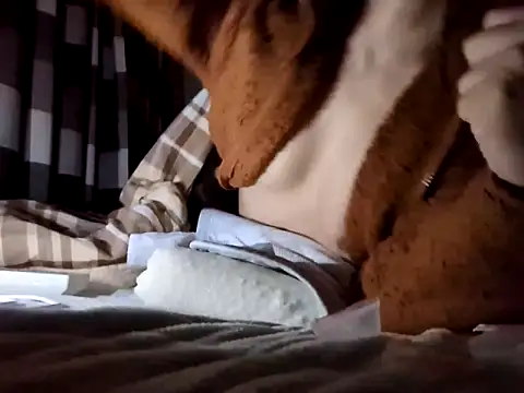 pnp0Japan online show from January 2025 07:59:02 PM