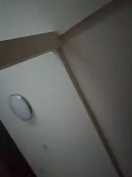 pnp0Japan online show from February 2025 08:50:02 AM