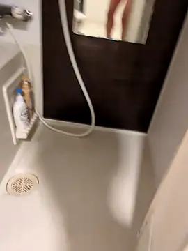 pnp0Japan online show from March 2025 03:30:02 PM