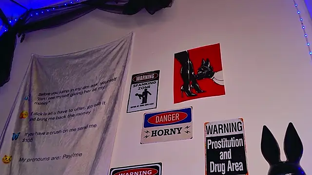 Snapshot of AriaVoss chatting on March 2026 09:19:01 PM AriaVoss online show from March 2026 09:19:01 PM