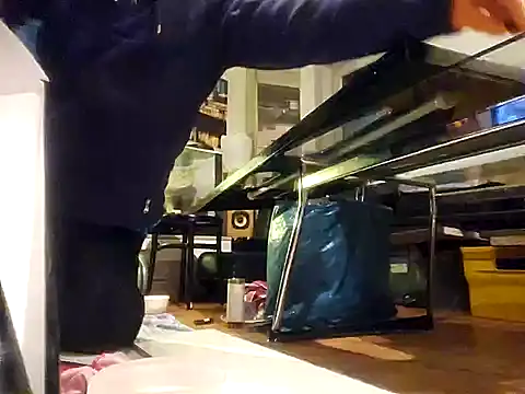 Snapshot of 0815lukas2024 chatting on December 2024 03:25:01 AM 0815lukas2024 online show from December 2024 03:25:01 AM