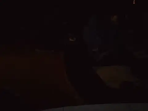 Snapshot of 0815lukas2024 chatting on January 2025 06:59:01 PM 0815lukas2024 online show from January 2025 06:59:01 PM