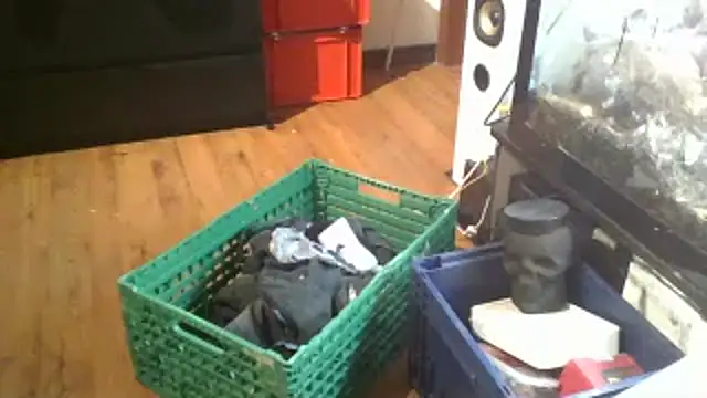 Snapshot of 0815lukas2024 chatting on January 2025 11:59:02 PM 0815lukas2024 online show from January 2025 11:59:02 PM