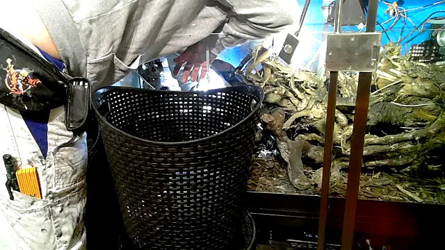 Snapshot of 0815lukas2024 chatting on October 2025 09:23:01 PM 0815lukas2024 online show from October 2025 09:23:01 PM