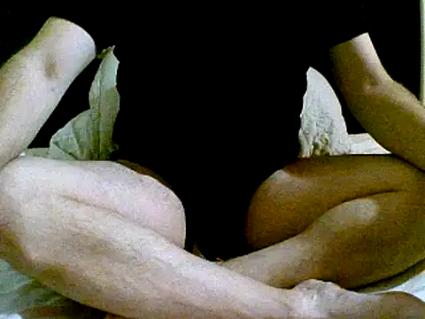 Snapshot of pollarikaaa chatting on December 2024 04:42:01 AM pollarikaaa online show from December 2024 04:42:01 AM