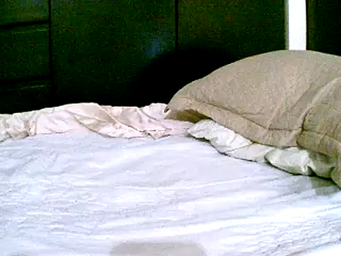 Snapshot of pollarikaaa chatting on December 2024 09:55:01 PM pollarikaaa online show from December 2024 09:55:01 PM