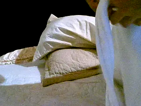 Snapshot of pollarikaaa chatting on December 2024 01:50:02 AM pollarikaaa online show from December 2024 01:50:02 AM