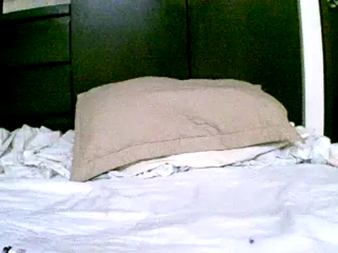 Snapshot of pollarikaaa chatting on December 2024 09:51:02 PM pollarikaaa online show from December 2024 09:51:02 PM