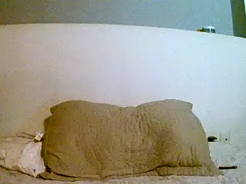 Snapshot of pollarikaaa chatting on March 2025 01:12:01 AM pollarikaaa online show from March 2025 01:12:01 AM