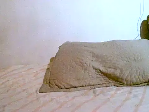 Snapshot of pollarikaaa chatting on March 2025 02:15:01 AM pollarikaaa online show from March 2025 02:15:01 AM