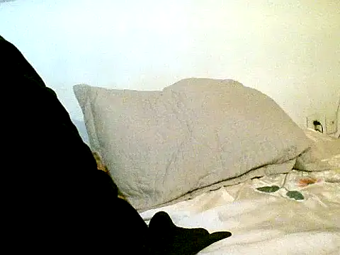 Snapshot of pollarikaaa chatting on October 2025 01:23:01 PM pollarikaaa online show from October 2025 01:23:01 PM