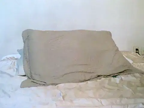 Snapshot of pollarikaaa chatting on October 2025 02:01:01 AM pollarikaaa online show from October 2025 02:01:01 AM