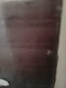 hardgetsex online show from September 2025 09:08:02 PM