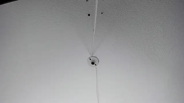 MelissaKarterrs online show from January 2025 11:56:02 AM