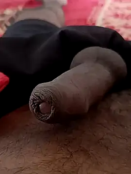 sat 1234 online show from January 2025 04:04:02 AM