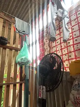 novinhooxz online show from May 2026 01:39:01 PM