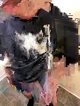 Snapshot of Chuckie_999 chatting on December 2025 09:21:02 PM Chuckie 999 online show from December 2025 09:21:02 PM