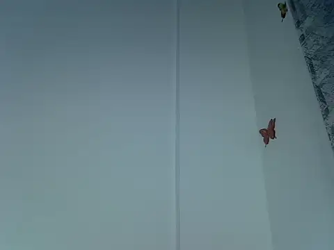 laetitia  online show from September 2025 10:47:01 PM