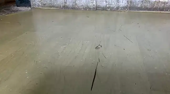 Snapshot of itstherahul chatting on February 2025 07:37:01 AM itstherahul online show from February 2025 07:37:01 AM