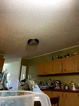 velvetta  online show from December 2025 04:51:01 AM