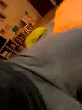 Snapshot of onbifeet chatting on October 2025 06:17:02 PM onbifeet online show from October 2025 06:17:02 PM