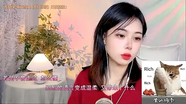 Snapshot of CL_2024 chatting on December 2024 02:58:02 PM CL 2024 online show from December 2024 02:58:02 PM