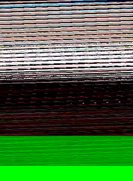 hungandtatted666 online show from January 2025 05:39:01 AM