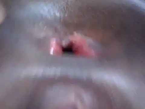 petitev online show from December 2024 04:09:02 AM