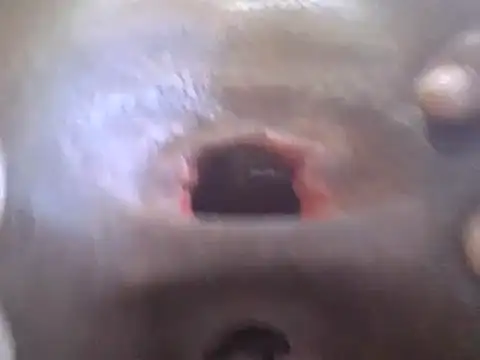 petitev online show from January 2025 04:41:02 AM