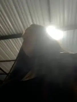 aliensexy online show from December 2024 04:33:02 AM