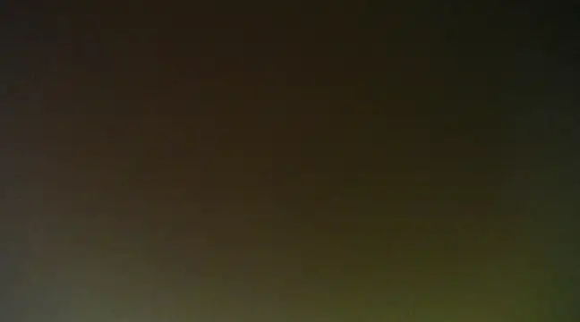 Snapshot of Lovensetest chatting on January 2025 11:26:02 AM Lovensetest online show from January 2025 11:26:02 AM