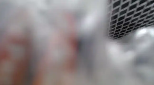 Snapshot of Lovensetest chatting on February 2025 07:09:01 AM Lovensetest online show from February 2025 07:09:01 AM