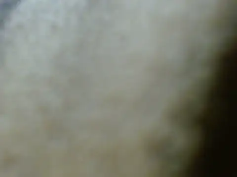 Snapshot of silky_milky chatting on October 2025 07:29:02 PM silky milky online show from October 2025 07:29:02 PM