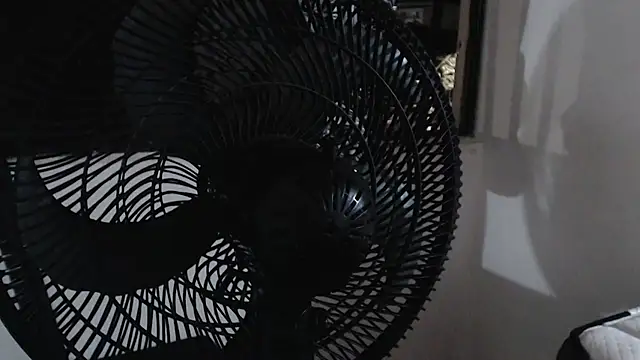 harry greg21 online show from November 2025 01:58:02 AM