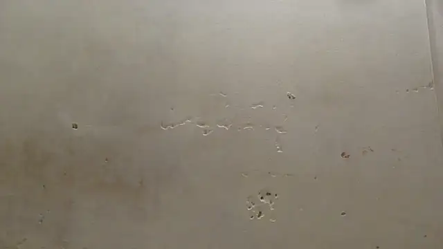 curvysexybody online show from January 2026 09:41:01 PM