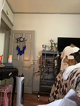 lezbean24 online show from March 2026 05:41:02 PM