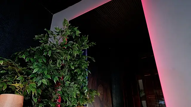 MelodyAdamss online show from May 2026 12:51:02 AM