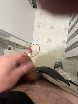 Snapshot of dimitriei chatting on November 2025 09:41:01 AM dimitriei online show from November 2025 09:41:01 AM