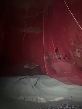 Snapshot of amy_gata chatting on February 2026 08:55:02 AM amy gata online show from February 2026 08:55:02 AM