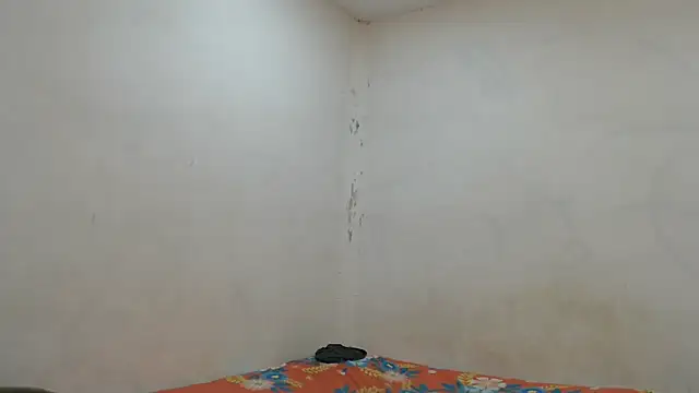 danielitopapuu online show from November 2025 04:23:02 AM