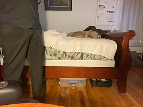 Snapshot of flexingplexico chatting on January 2026 01:06:02 PM flexingplexico online show from January 2026 01:06:02 PM