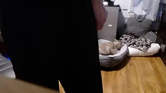 Snapshot of flexingplexico chatting on February 2026 10:50:02 PM flexingplexico online show from February 2026 10:50:02 PM