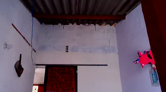 Snapshot of Zafiro_subversiva chatting on February 2025 02:13:01 PM Zafiro subversiva online show from February 2025 02:13:01 PM