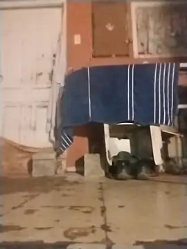 Snapshot of brownfeet chatting on January 2025 04:59:01 AM brownfeet online show from January 2025 04:59:01 AM