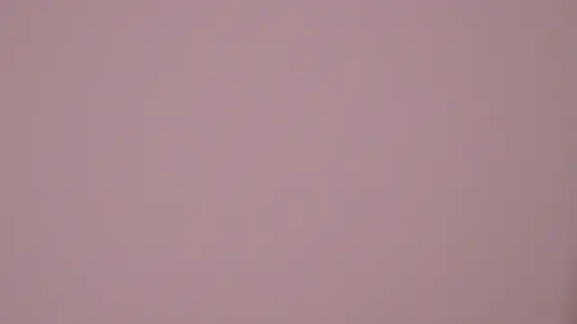 Snapshot of RissaRheys chatting on March 2025 02:26:01 AM RissaRheys online show from March 2025 02:26:01 AM