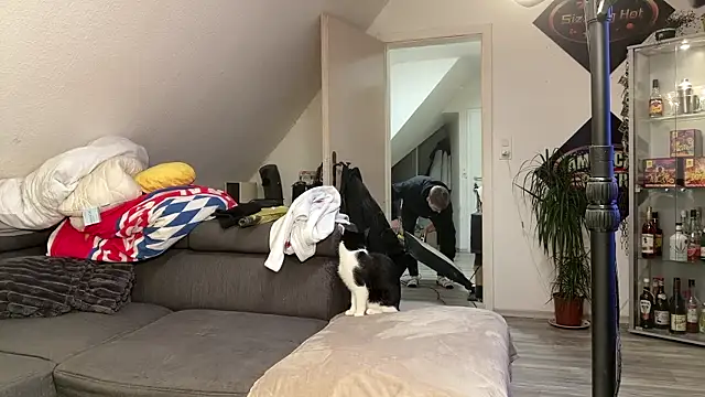 Cookieboy88 online show from January 2026 06:32:02 PM