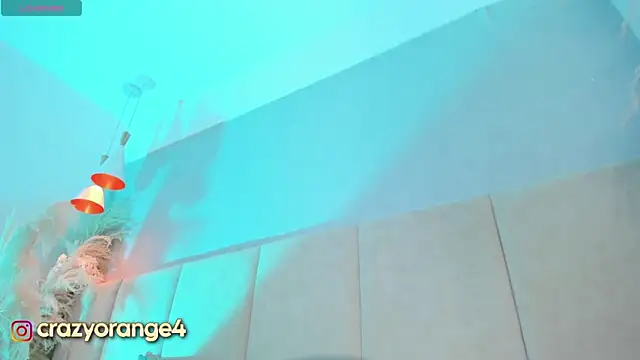 Snapshot of Crazyorange_ chatting on March 2025 02:10:01 PM Crazyorange online show from March 2025 02:10:01 PM