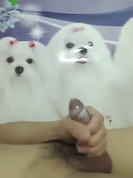 Snapshot of 826687 chatting on March 2026 01:40:02 PM 826687 online show from March 2026 01:40:02 PM