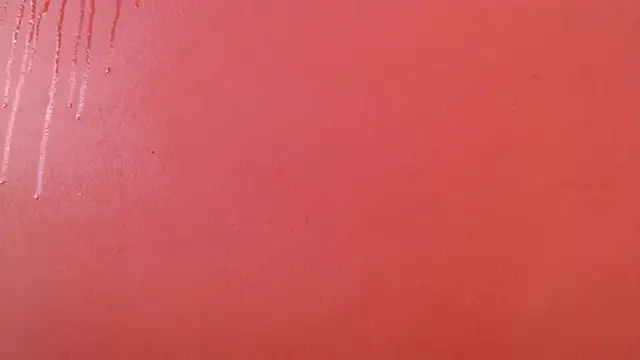 Freyja eter online show from October 2025 02:19:01 PM